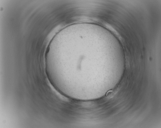 X0000071961479200607282021