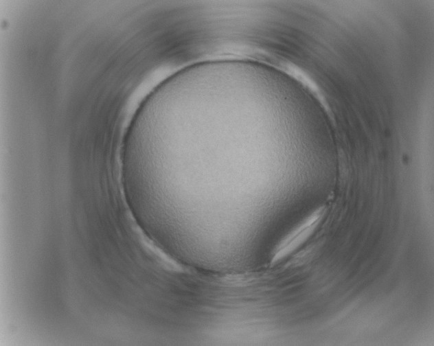 X0000071961480200607282021