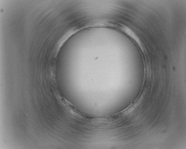 X0000071961481200607282021