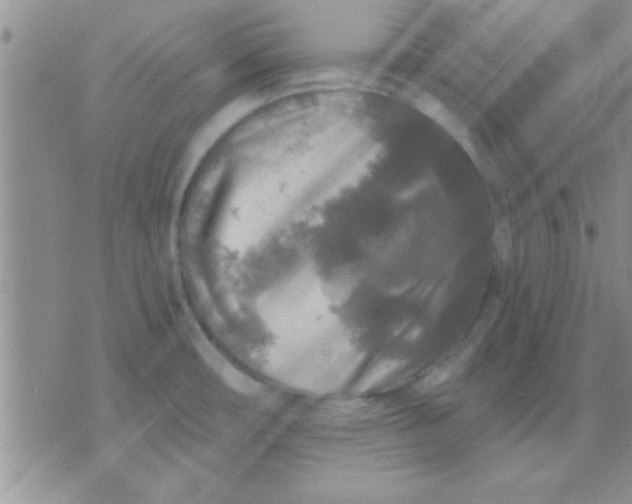 X0000071961482200607282021