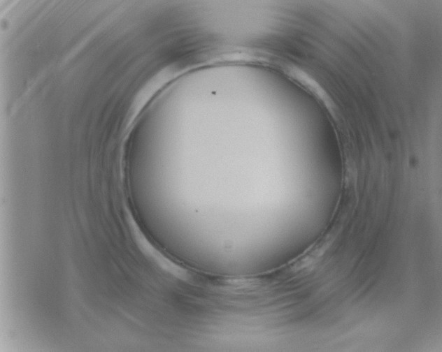 X0000071961483200607282021