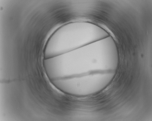 X0000071961484200607282021