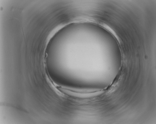 X0000071961485200607282021