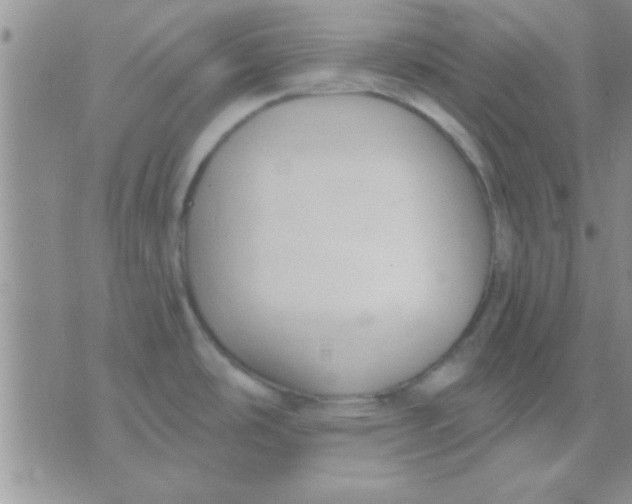 X0000071961486200607282021