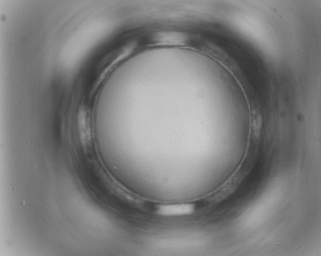 X0000071961487200607282021