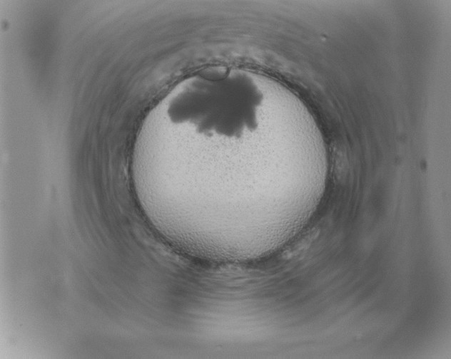 X0000071961489200607282020