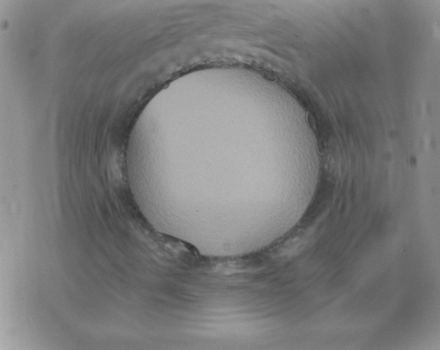 X0000071961490200607282020