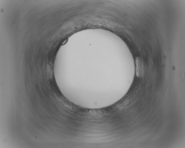 X0000071961491200607282020