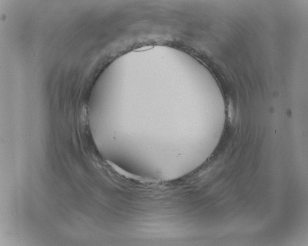 X0000071961492200607282020