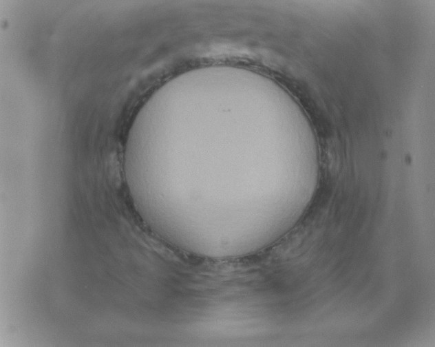 X0000071961493200607282020