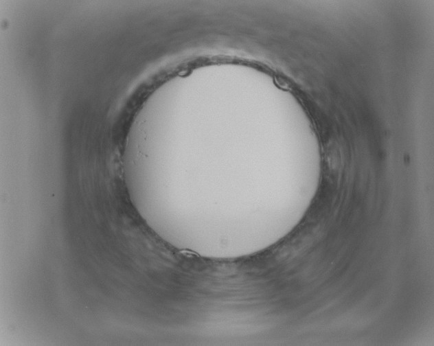 X0000071961495200607282020