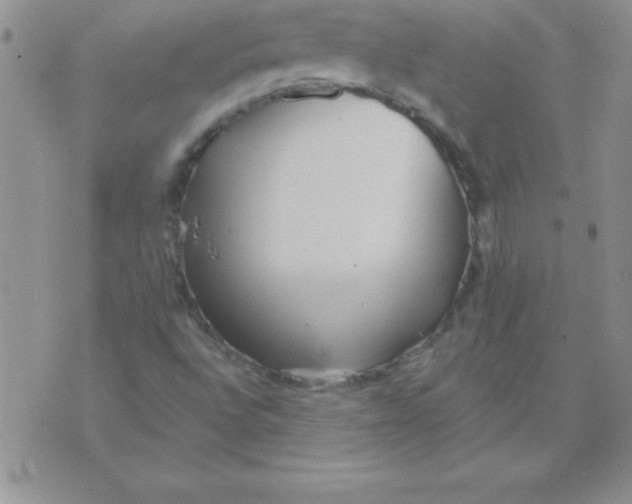 X0000071961496200607282020