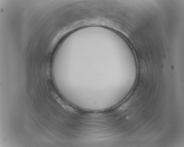 X0000071961499200607282020