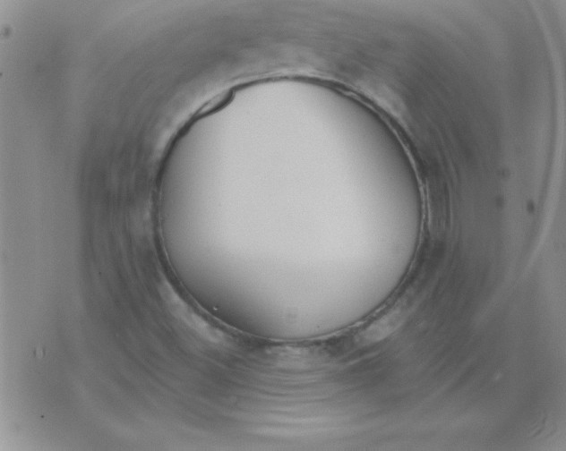 X0000071961500200607282020