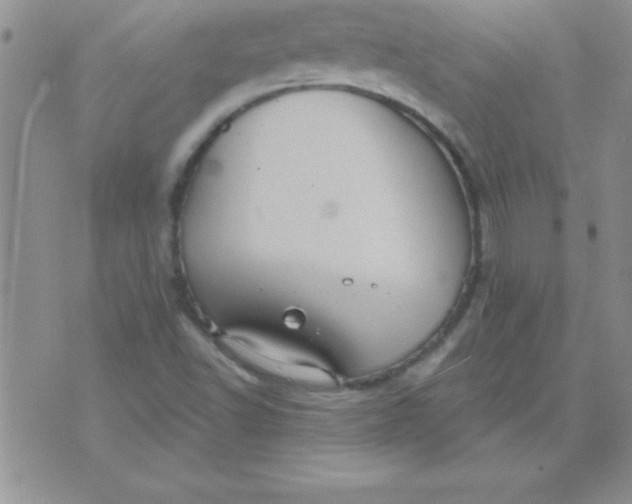 X0000071961502200607282020