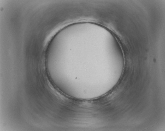 X0000071961504200607282020