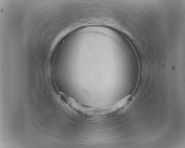 X0000071961506200607282020