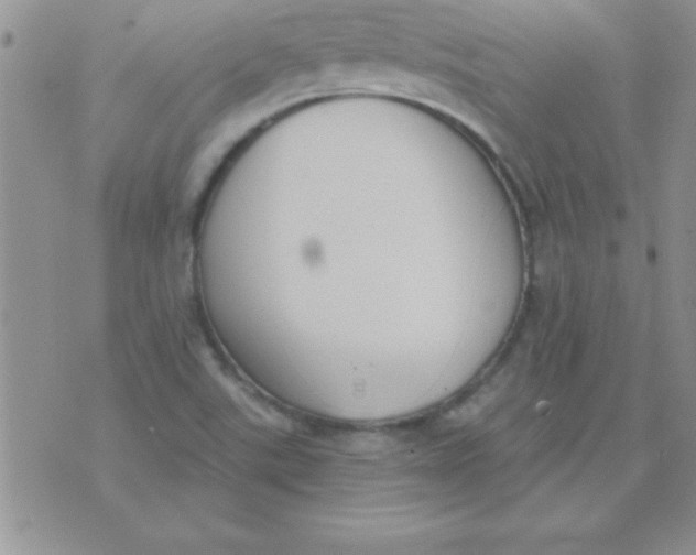 X0000071961507200607282020