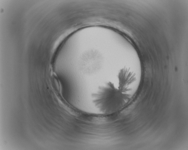 X0000071961509200607282020