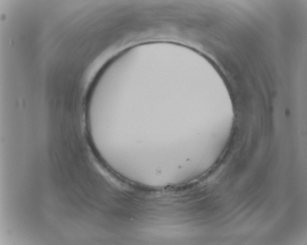 X0000071961511200607282020