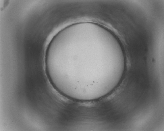 X0000071961512200607282020