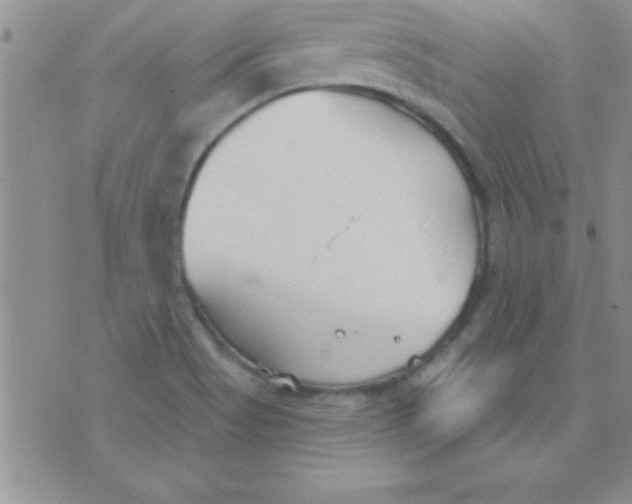 X0000071961513200607282020