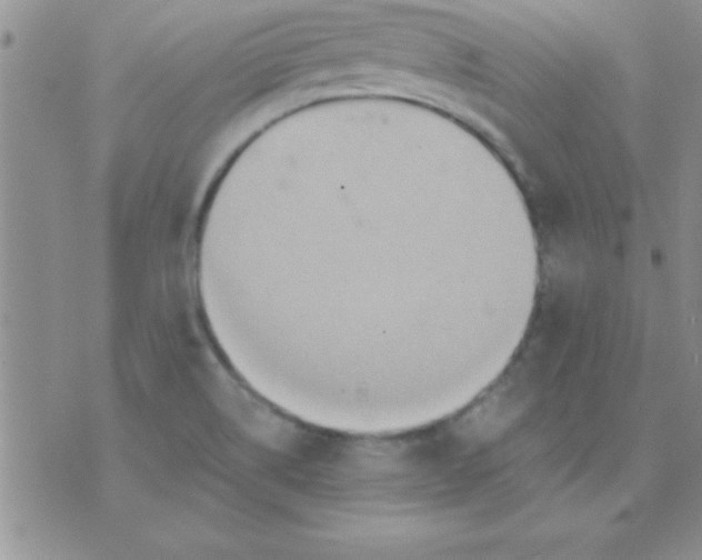 X0000071961514200607282020