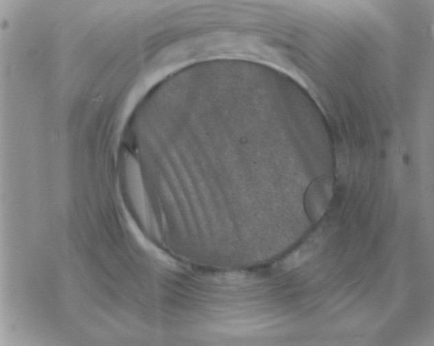 X0000071961515200607282020