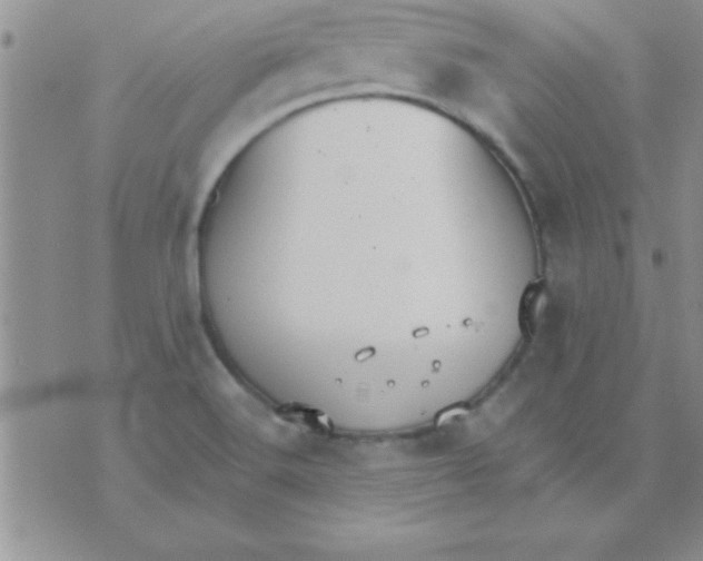 X0000071961516200607282020