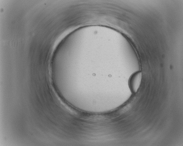 X0000071961517200607282020