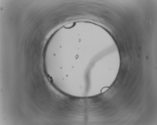 X0000071961518200607282020