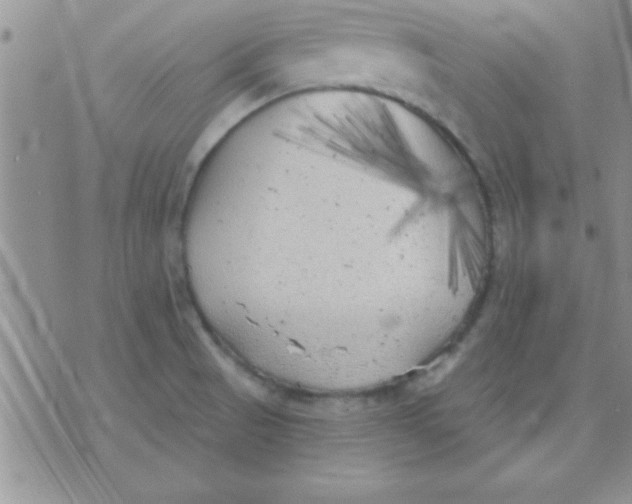 X0000071961521200607282020