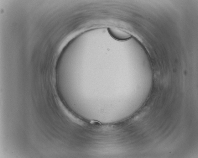 X0000071961523200607282020