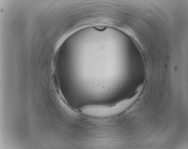 X0000071961524200607282020