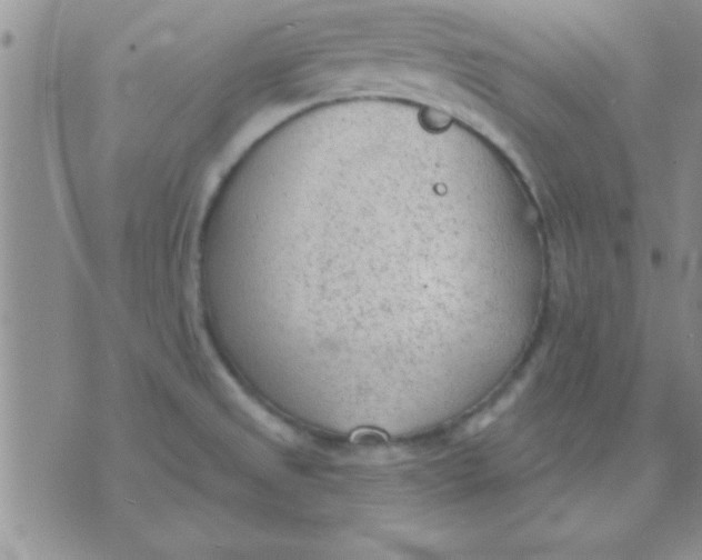 X0000071961525200607282020