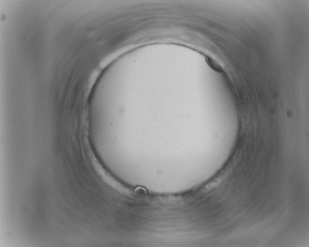 X0000071961526200607282020