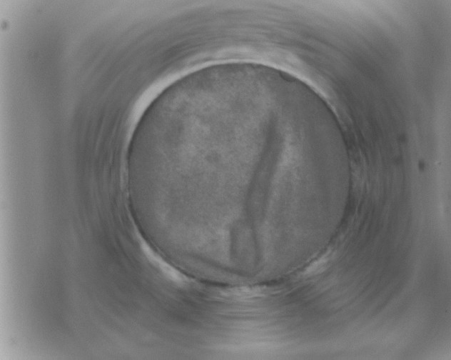 X0000071961527200607282020