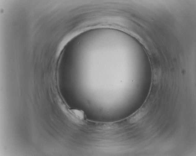 X0000071961530200607282020