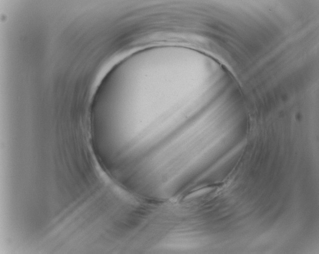 X0000071961531200607282020