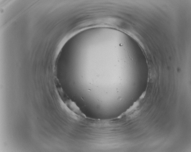 X0000071961532200607282021