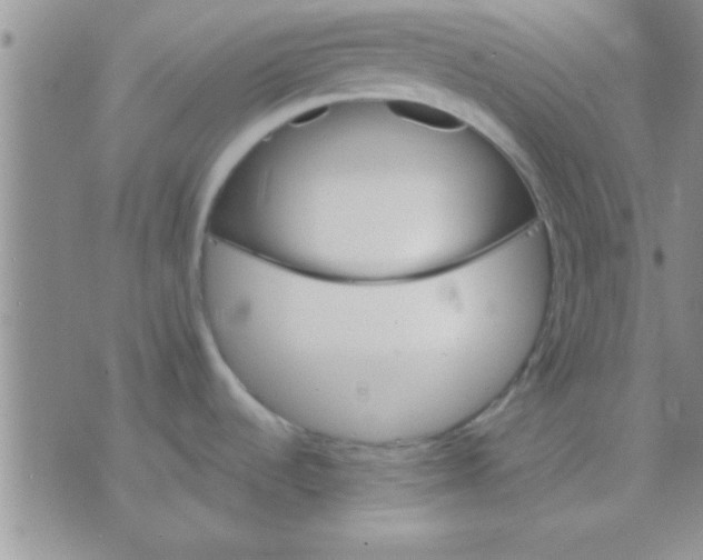 X0000071961536200607282021