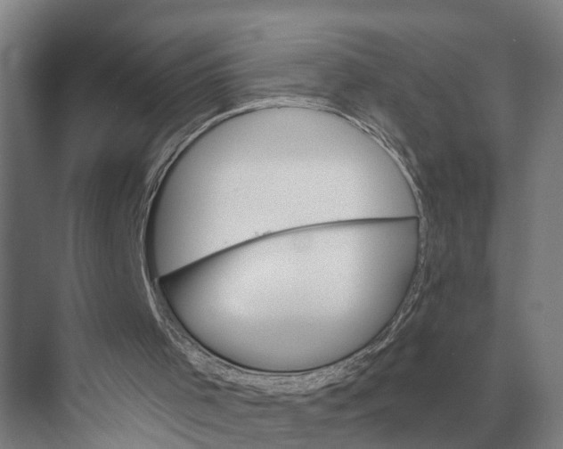 X0000071960001200608041631