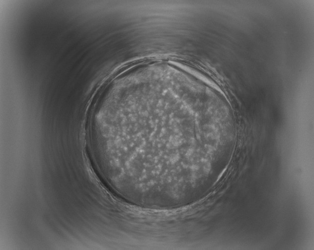 X0000071960002200608041631