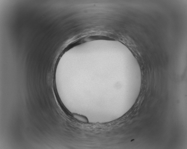 X0000071960003200608041631