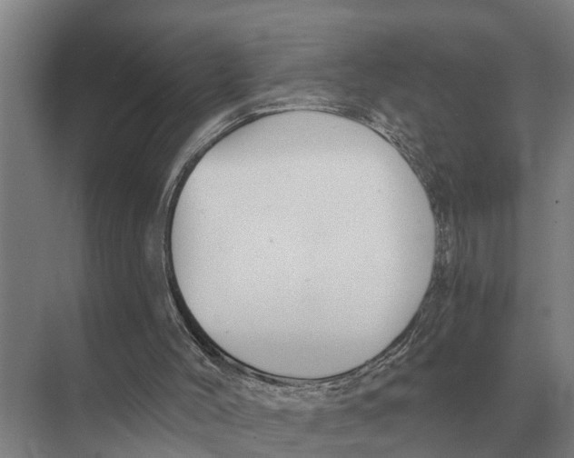 X0000071960004200608041631