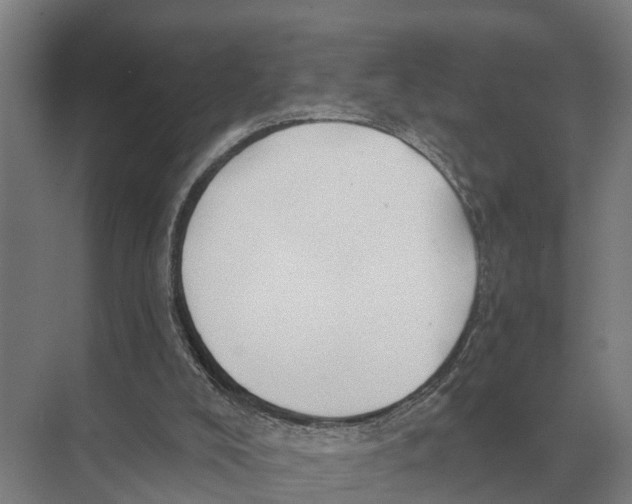 X0000071960008200608041631