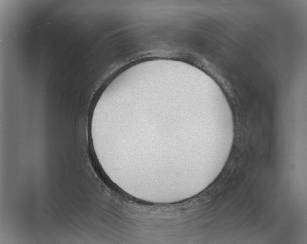 X0000071960011200608041631