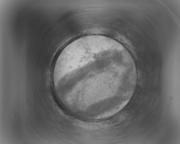 X0000071960012200608041631