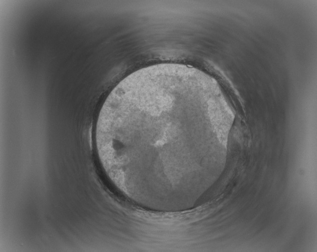 X0000071960019200608041631