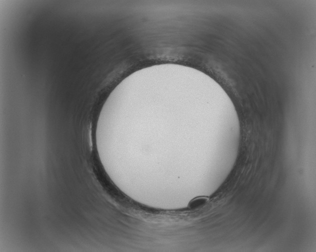 X0000071960020200608041631